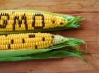 Oznaczenie „Wolne od GMO” może być kosztownym luksusem
