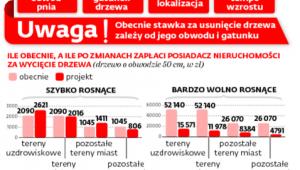 Proponowane zasady wyliczania opłat za usunięcie drzewa