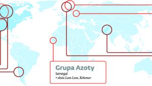 Gdzie polskie firmy szukają surowców