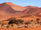 Brzemię Namibii: Afrykanie wiedzą jak walczyć o prawdę historyczną