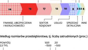kto pada ofiarą cyberataków
