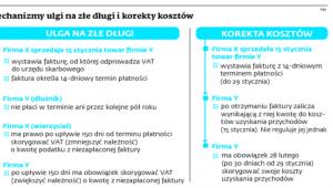 Mechanizmy ulgi na złe długi i korekty kosztów
