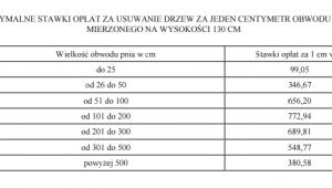 Opłaty za wycinkę drzew