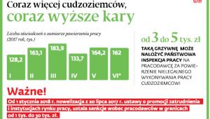 Coraz więcej cudzoziemców, coraz wyższe kary