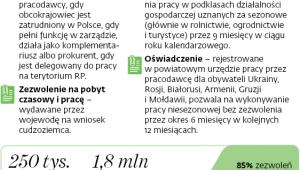Dokumenty dopuszczające do rynku pracy