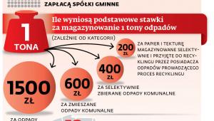 Stawki gwarancyjne dla firmy i spółek gminnych
