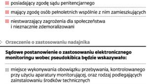 Dozór elektroniczny