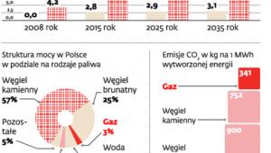 Gaz paliwem przyszłości dla energetyki